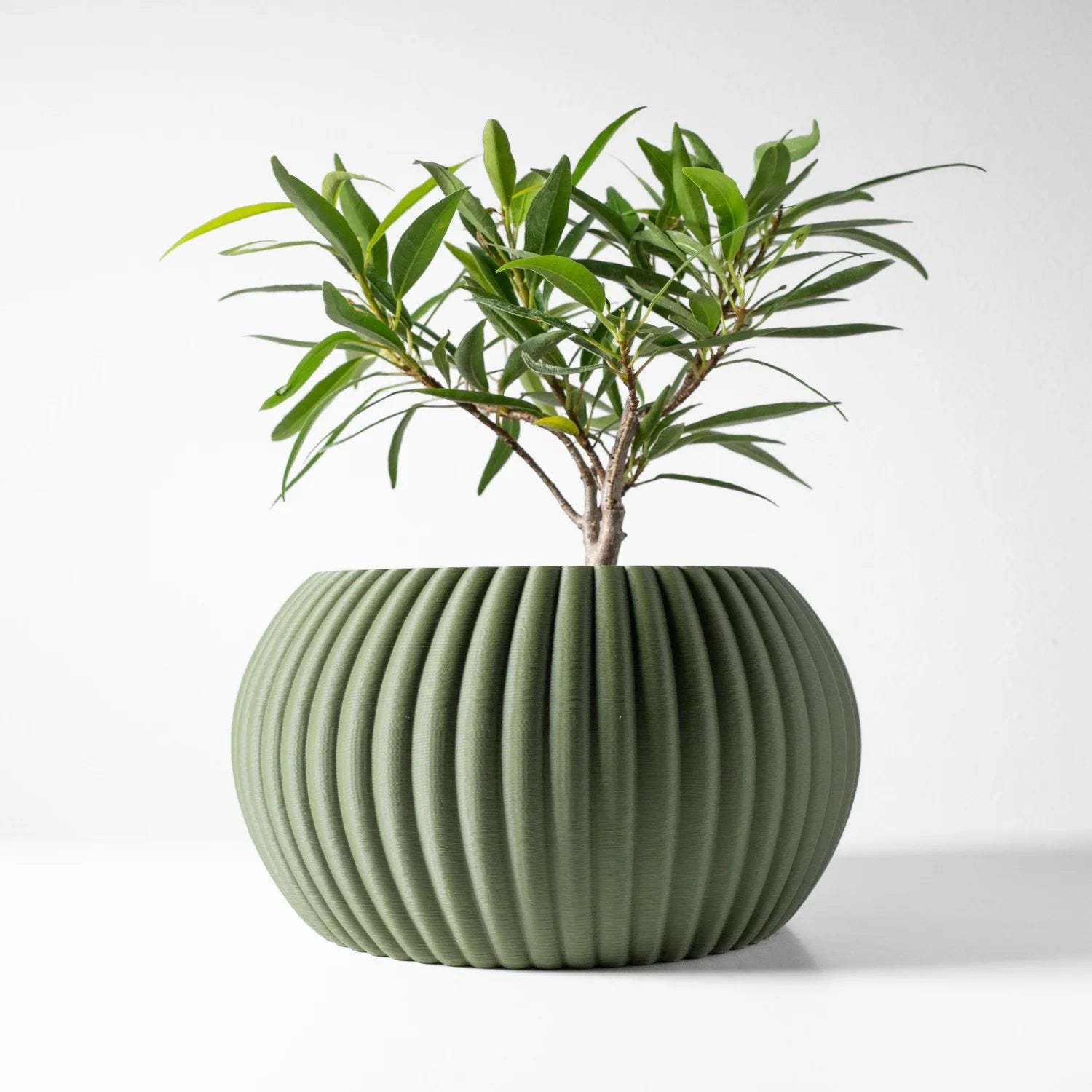 Pot de fleurs, décoration d'intérieur moderne
