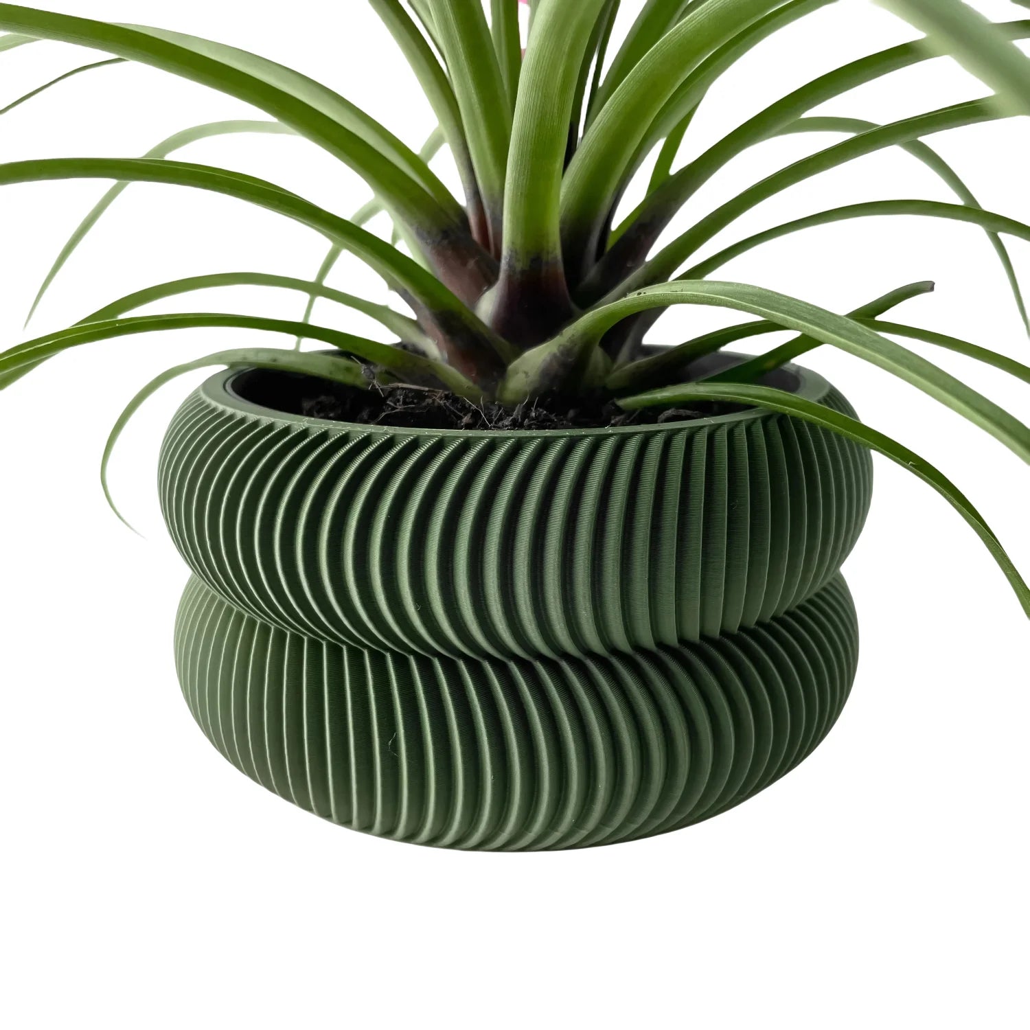 Jardinière décoration d'intérieur