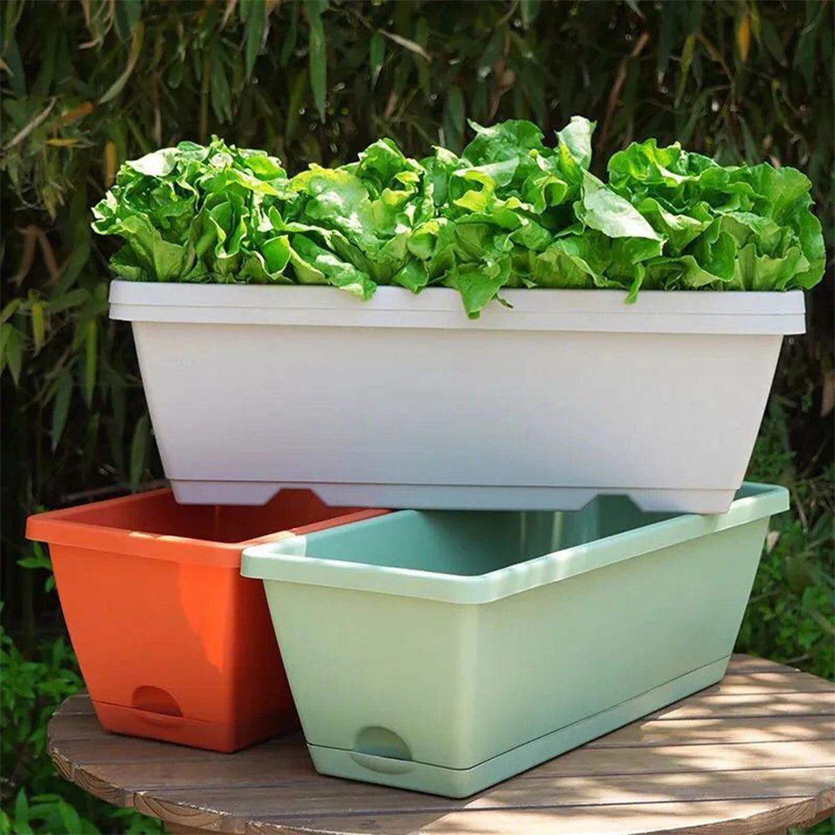 jardinière