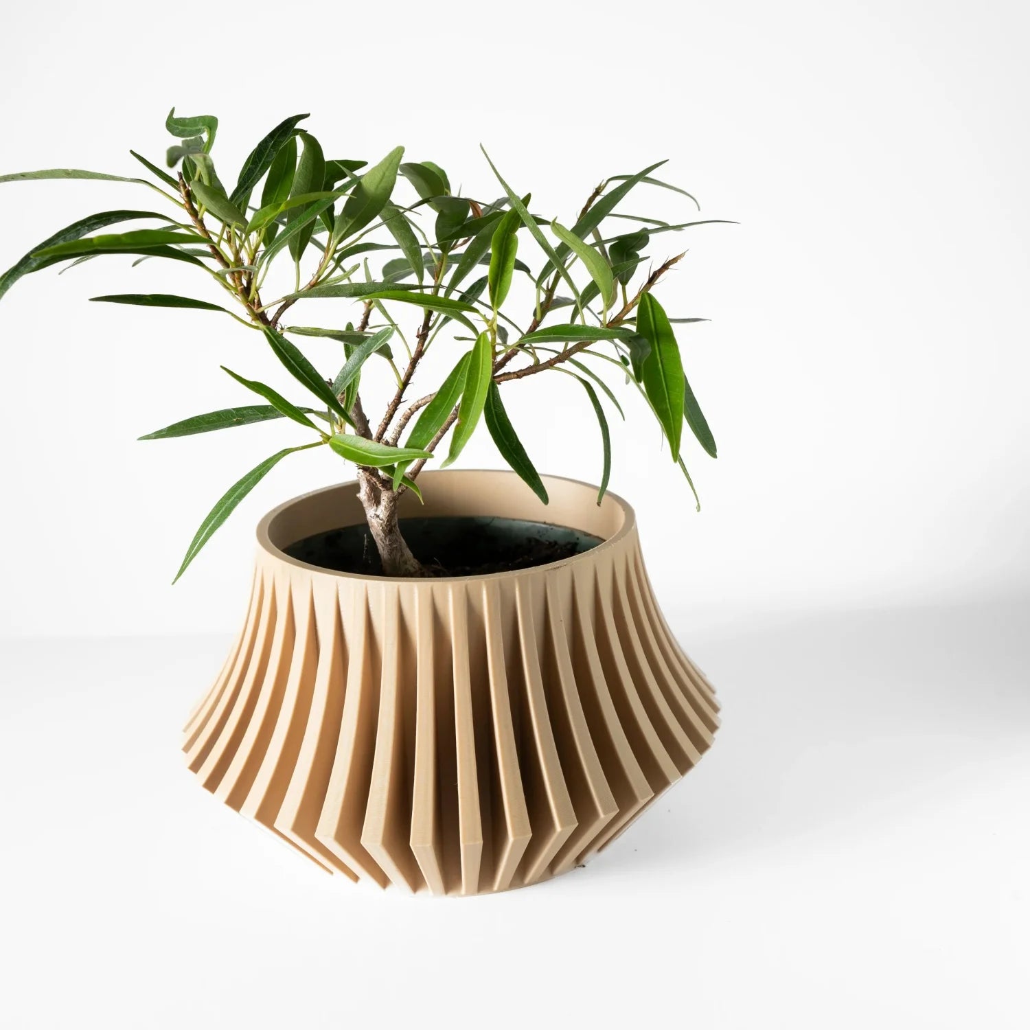 pot de fleurs, esthétique moderne