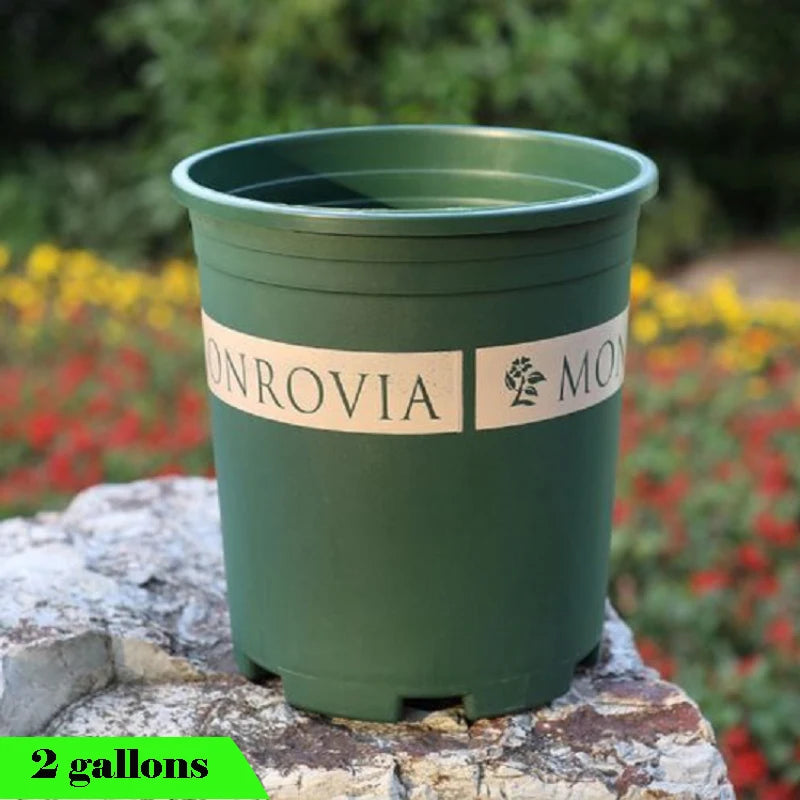 Pot de plantation d'un gallon pour balcon