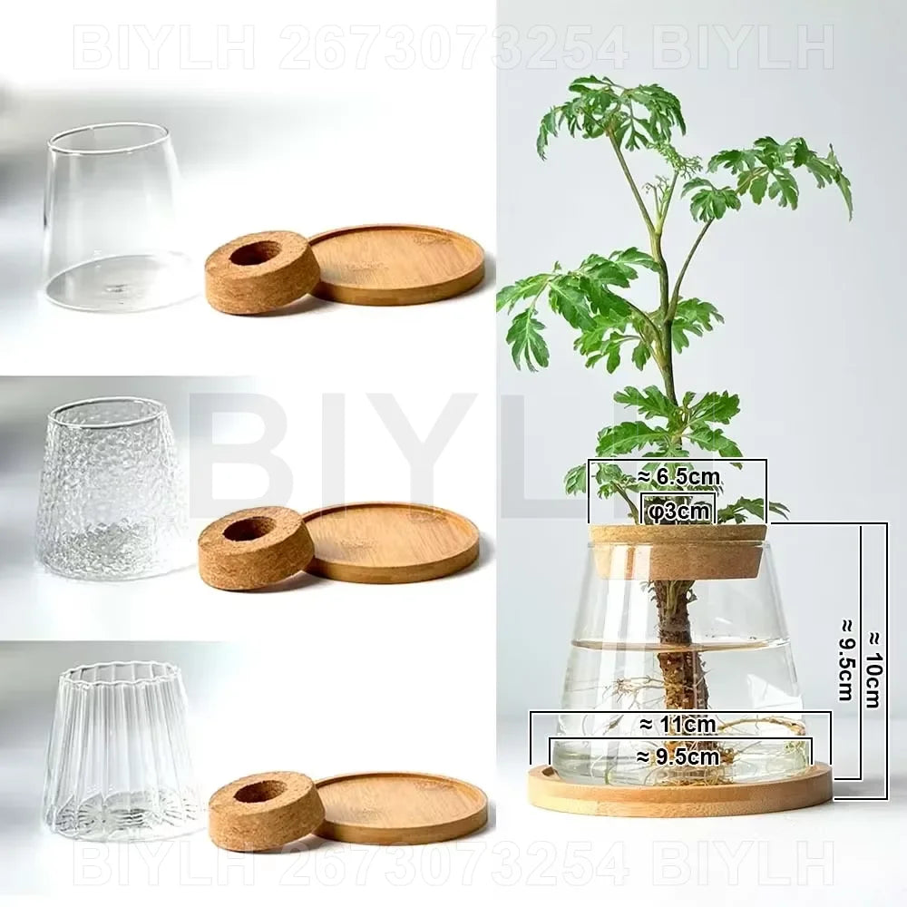 pots de fleurs en verre pour plantes hydroponiques