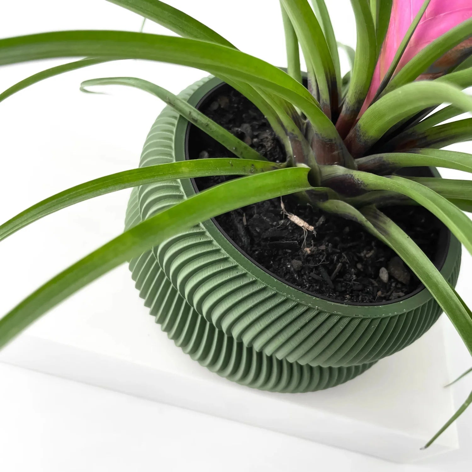 Jardinière décoration d'intérieur