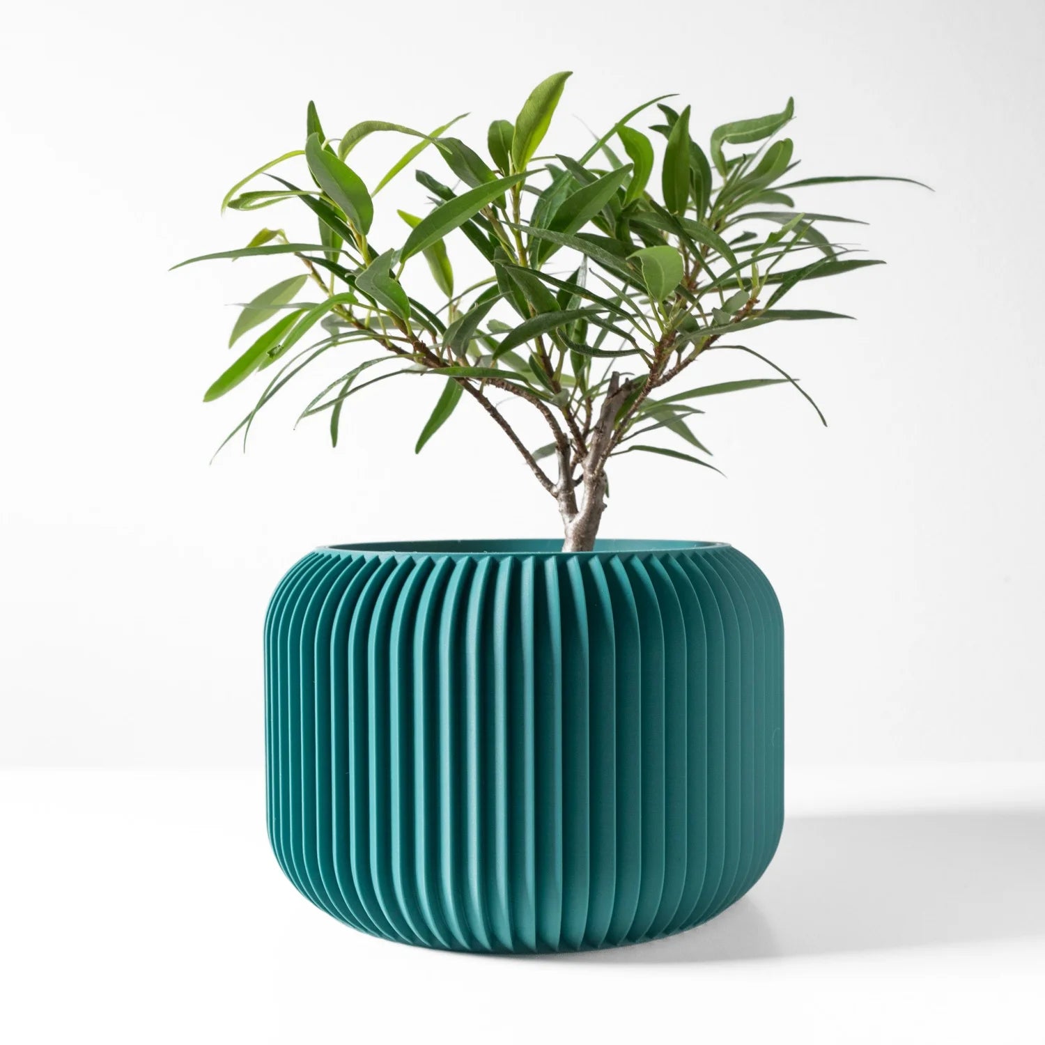 Pot de fleurs design linéaire