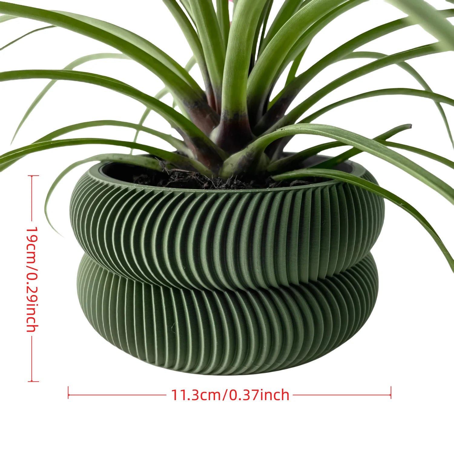 Jardinière décoration d'intérieur