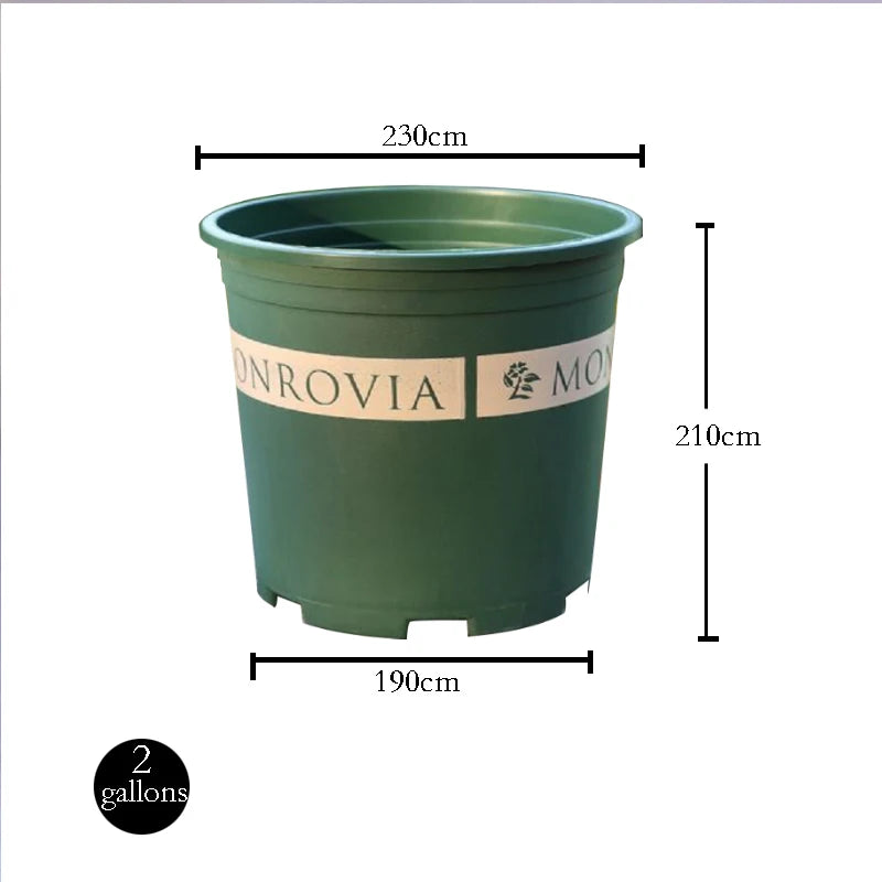 Pot de plantation d'un gallon pour balcon