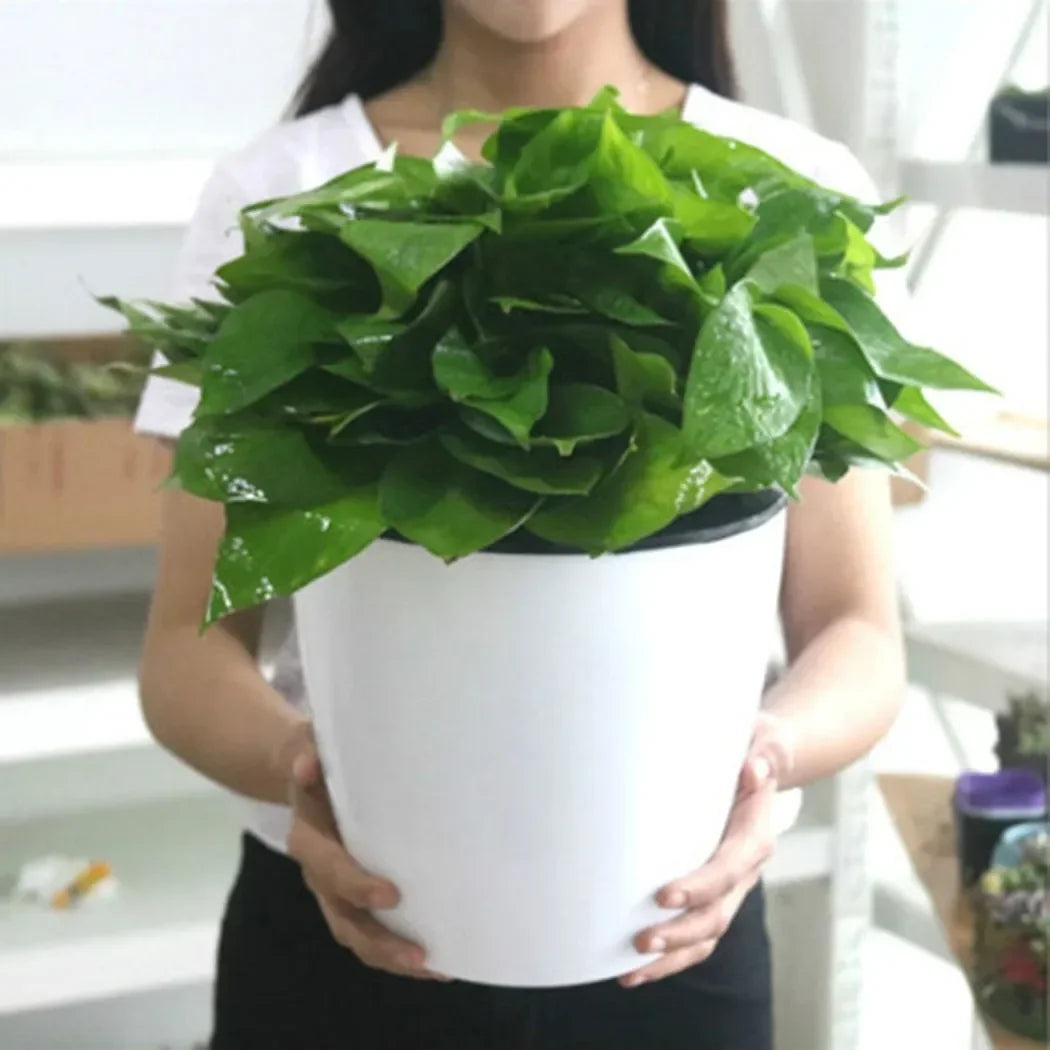 pot extérieur et intérieur xxl