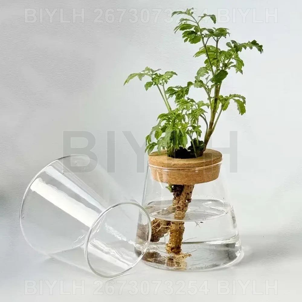 pots de fleurs en verre pour plantes hydroponiques