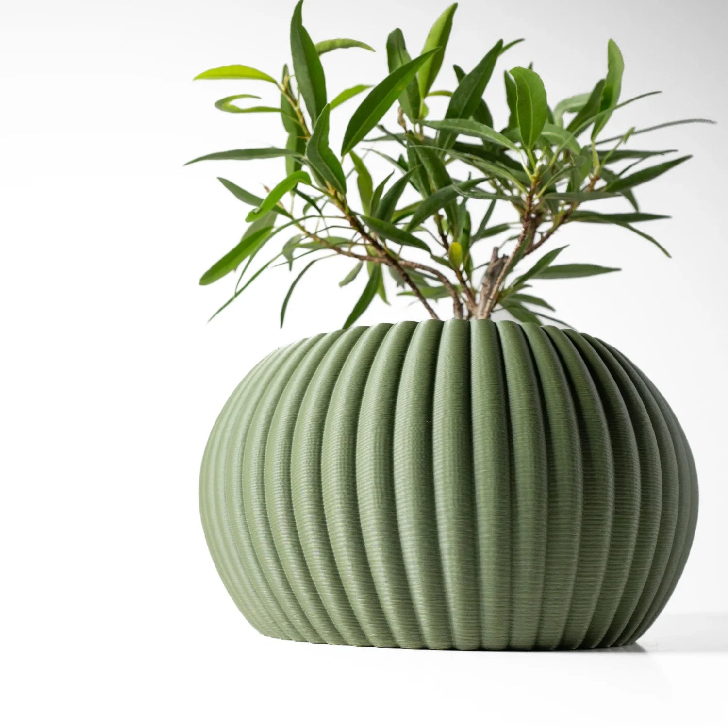 Pot de fleurs, décoration d'intérieur moderne