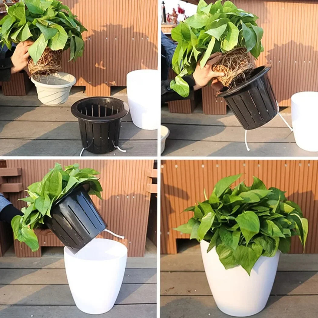 pot extérieur et intérieur xxl