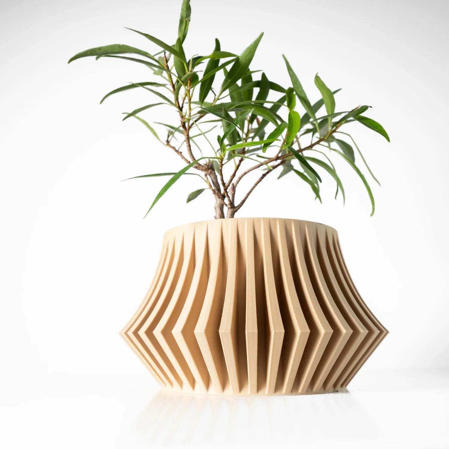 pot de fleurs, esthétique moderne