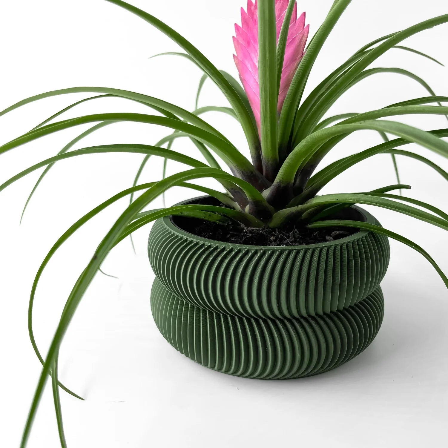 Jardinière décoration d'intérieur