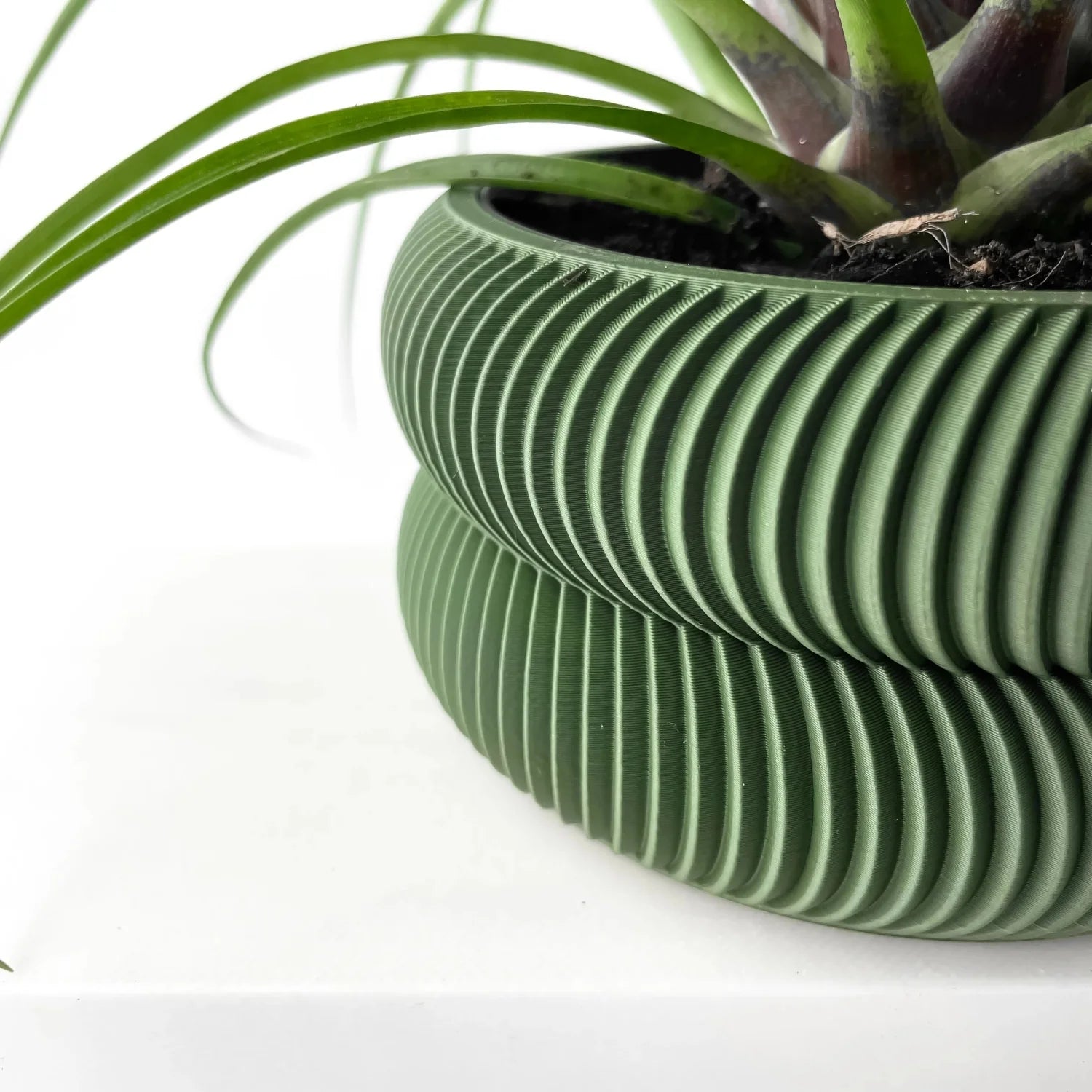 Jardinière décoration d'intérieur