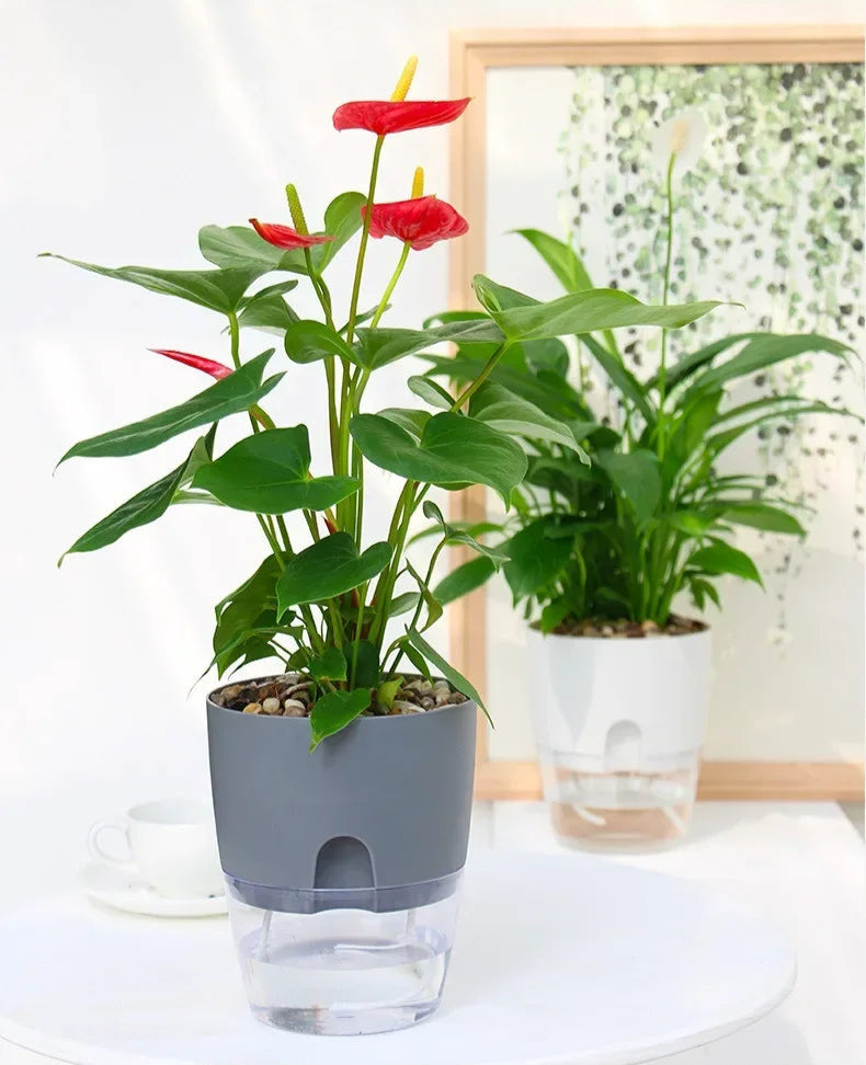pot de fleur arrosage automatique